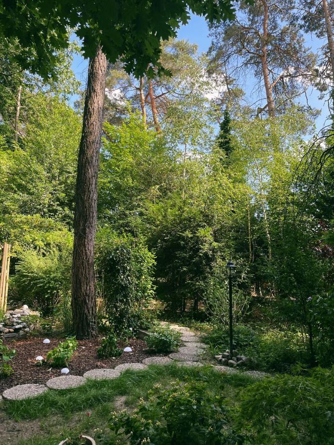 Mimi'S Natuurhuisje Ланакен Екстериор снимка